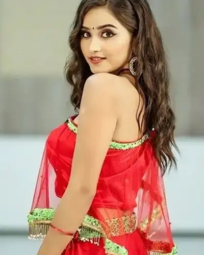 Escort In Panchkula
